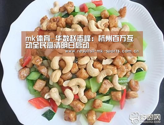 mk体育-华数赵志峰:杭州百万互动全民高清明日启动(图1) mk体育