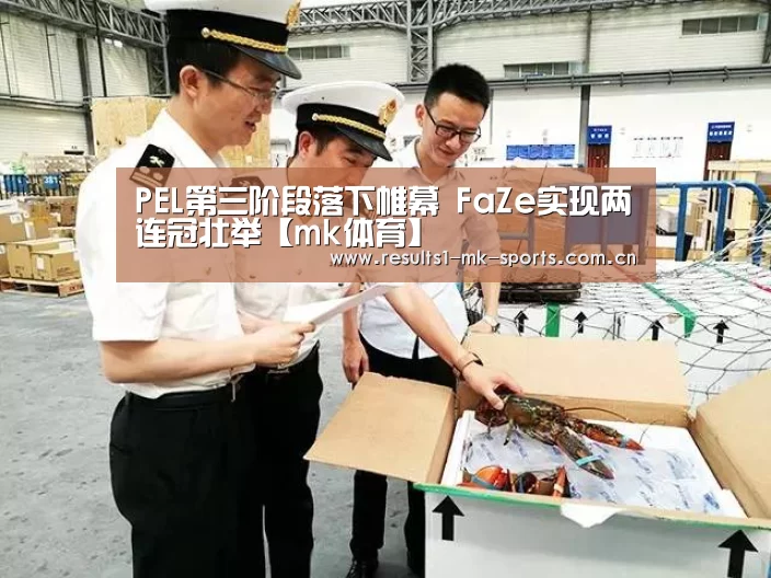 PEL第三阶段落下帷幕 FaZe实现两连冠壮举【mk体育】(图1) mk体育官方
