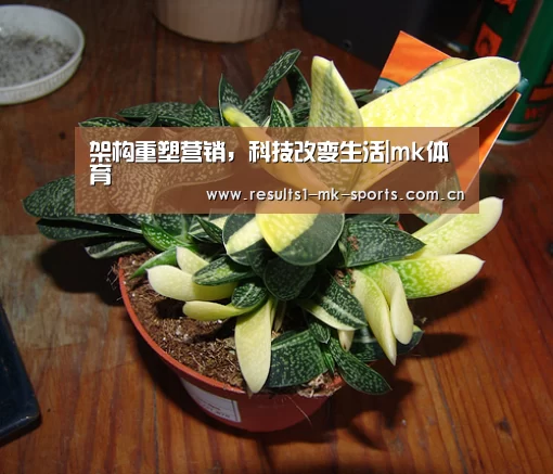 mk体育